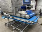 2013 Pizzamatic Waterfall Topping Applicator With Return Conveyors